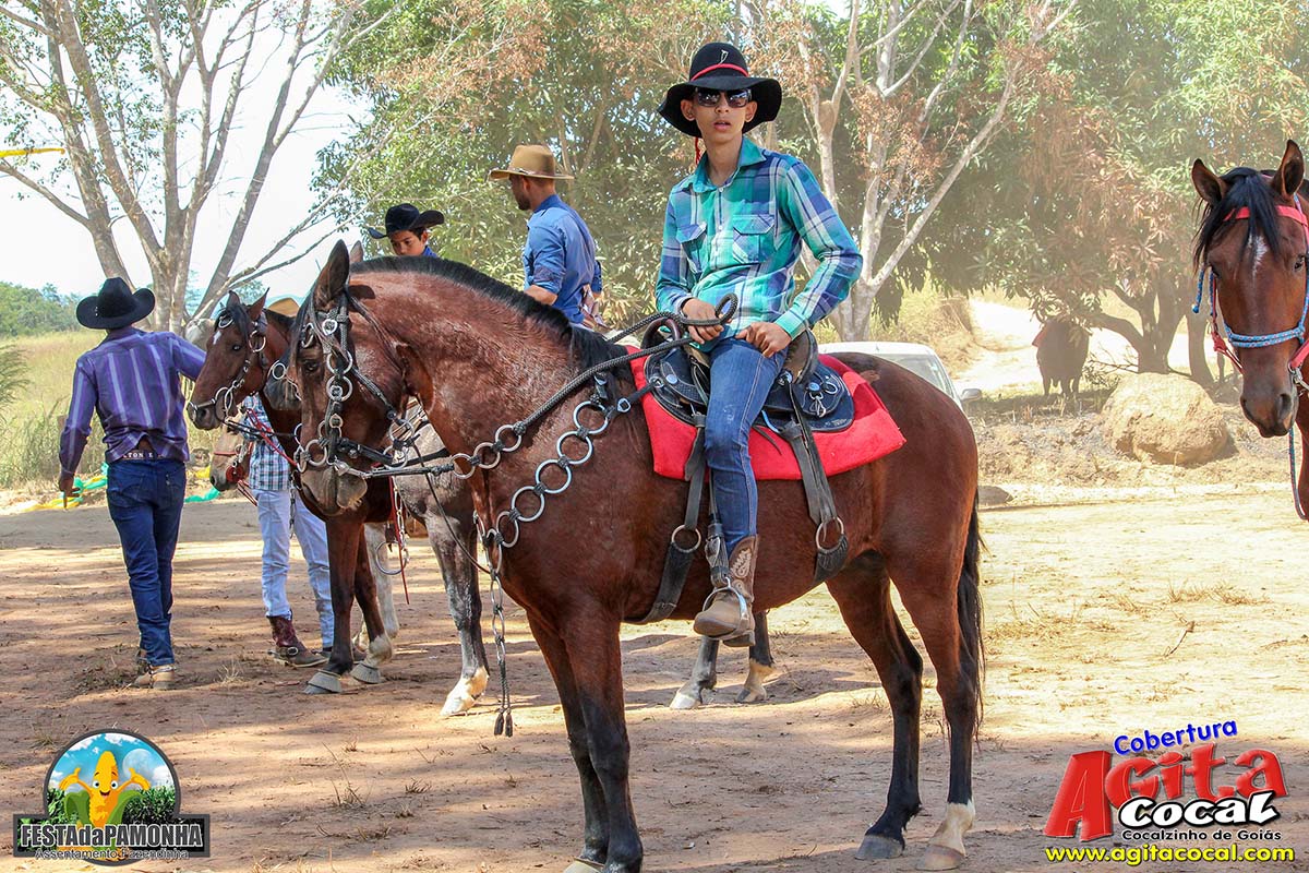 Festa da Pamonha (3 Dia)